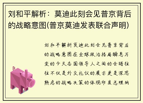 刘和平解析：莫迪此刻会见普京背后的战略意图(普京莫迪发表联合声明)