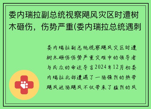 委内瑞拉副总统视察飓风灾区时遭树木砸伤，伤势严重(委内瑞拉总统遇刺)
